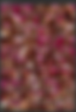 Claudia Adams/Screens/Amy Azurra's Pyjama Party 1.mp4.jpg