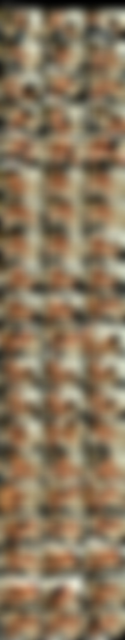 casualteensex.com/screens/Not-So-Casual Teen Sex.wmv.jpg