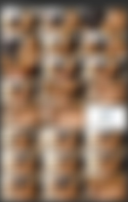 lsgmodels/scr/alexa01pt1_HD_720p.mov.jpg