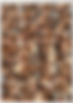 Praise The Load 2/thumbs/07 - Allie Foster.mp4_thumbs.jpg